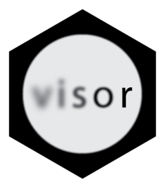 visor website